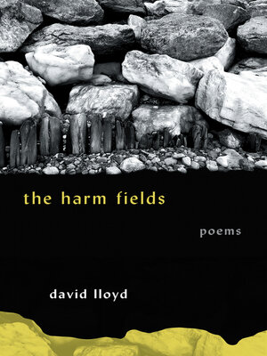 cover image of The Harm Fields
